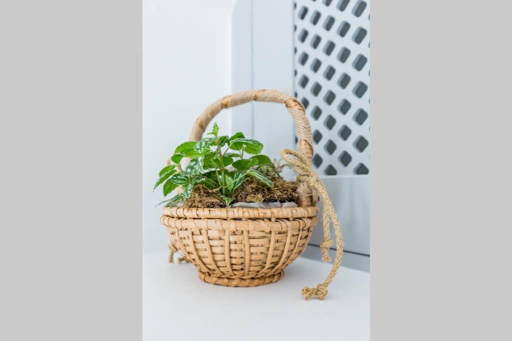 Myrtia House Skopelos Bagian luar foto
